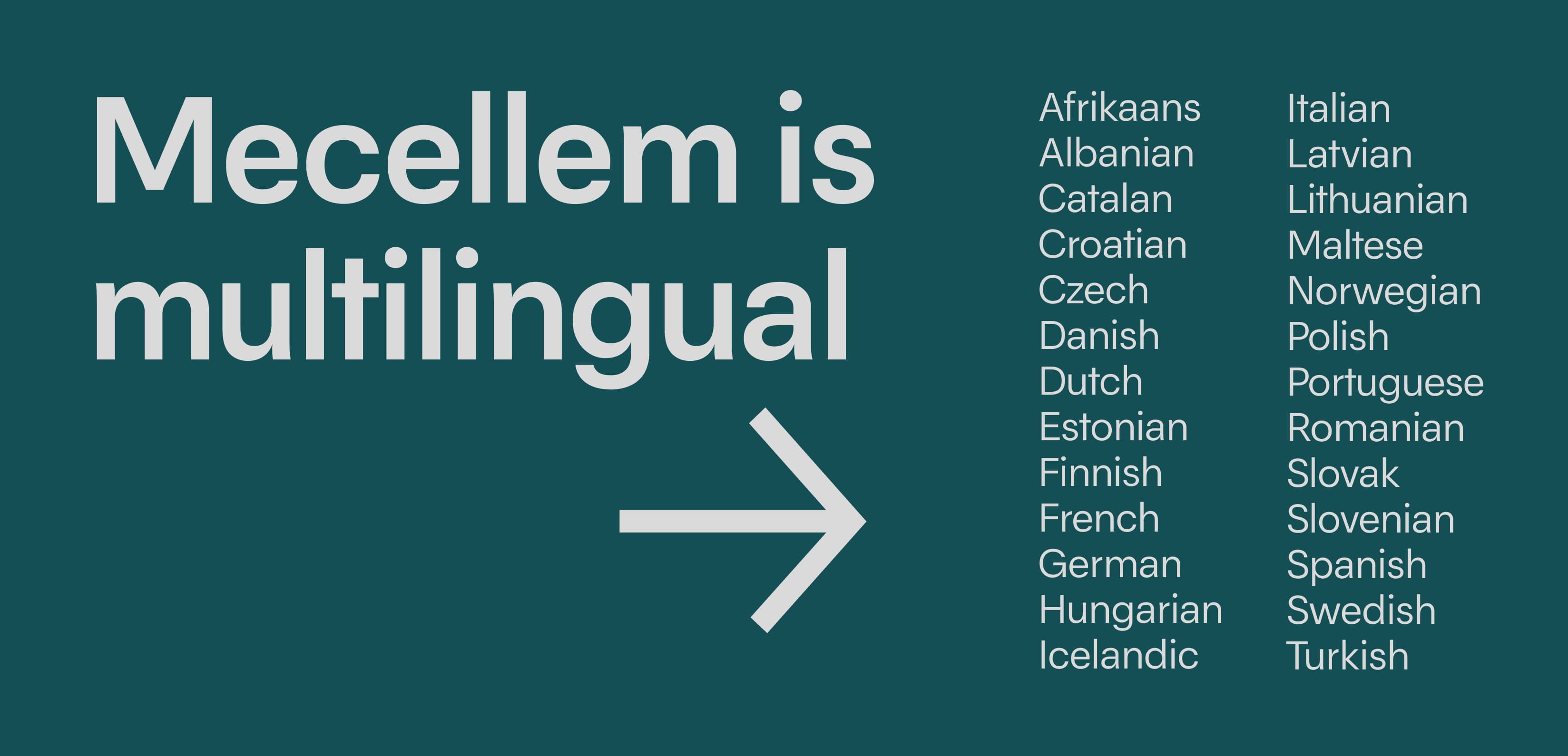 Mecellem-08.jpg (151 KB)