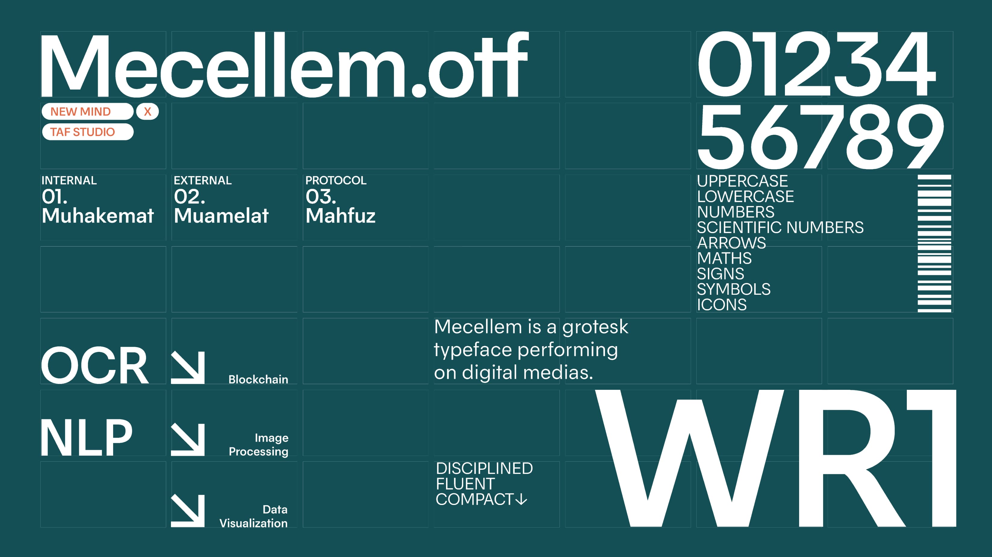 Mecellem-13.jpg (239 KB)