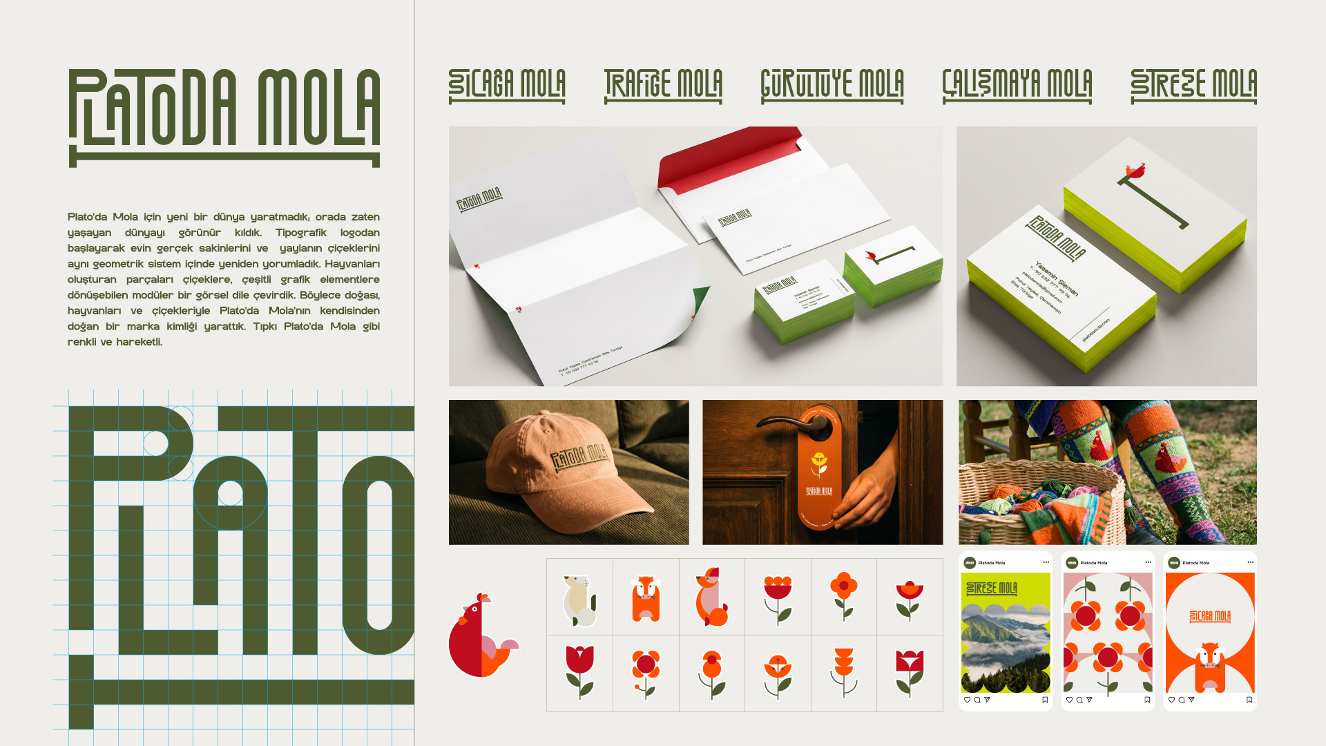 Platoda-Mola-Branding-Board.jpg (1).jpeg (494 KB)