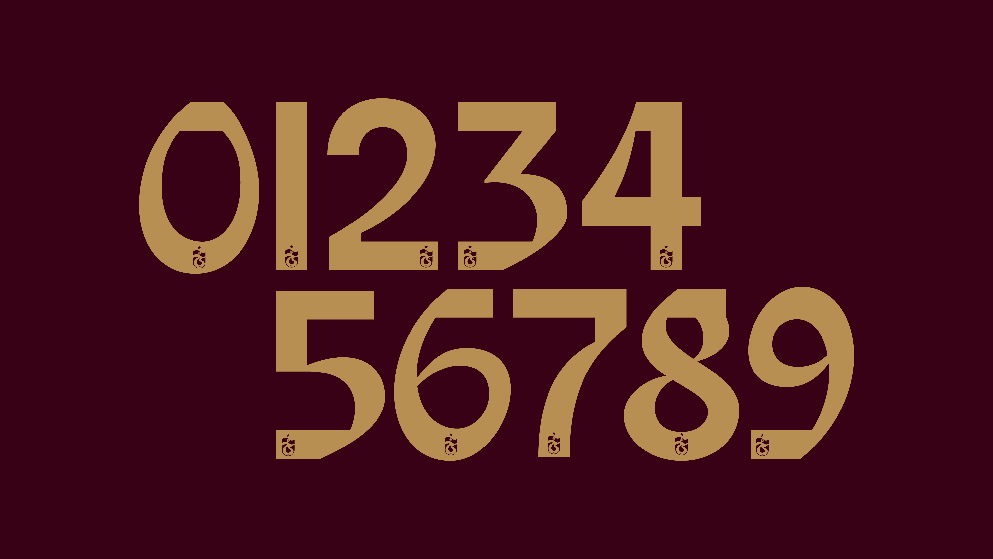 TS-07.jpg (461 KB)